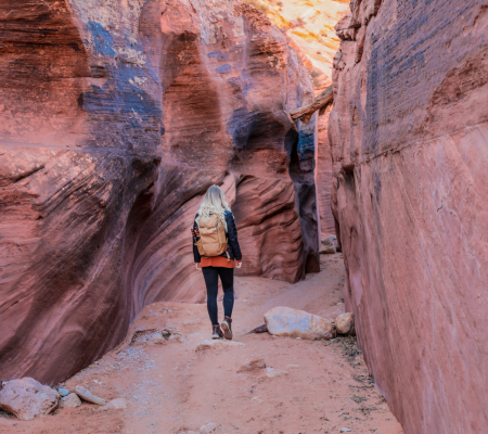 Monumental Meditation (35)450